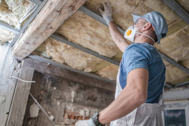 Best DIY Insulation Kits and Guidance in Parkston, SD