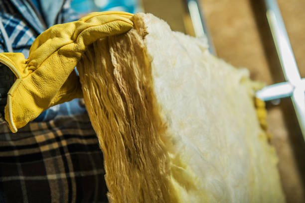 Best Cellulose Insulation in Parkston, SD