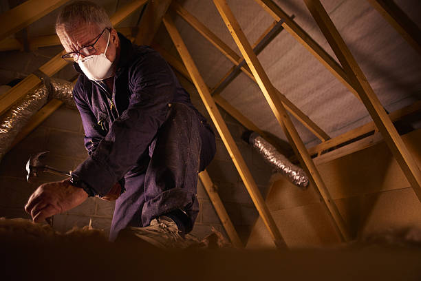 Best Residential Insulation in Parkston, SD